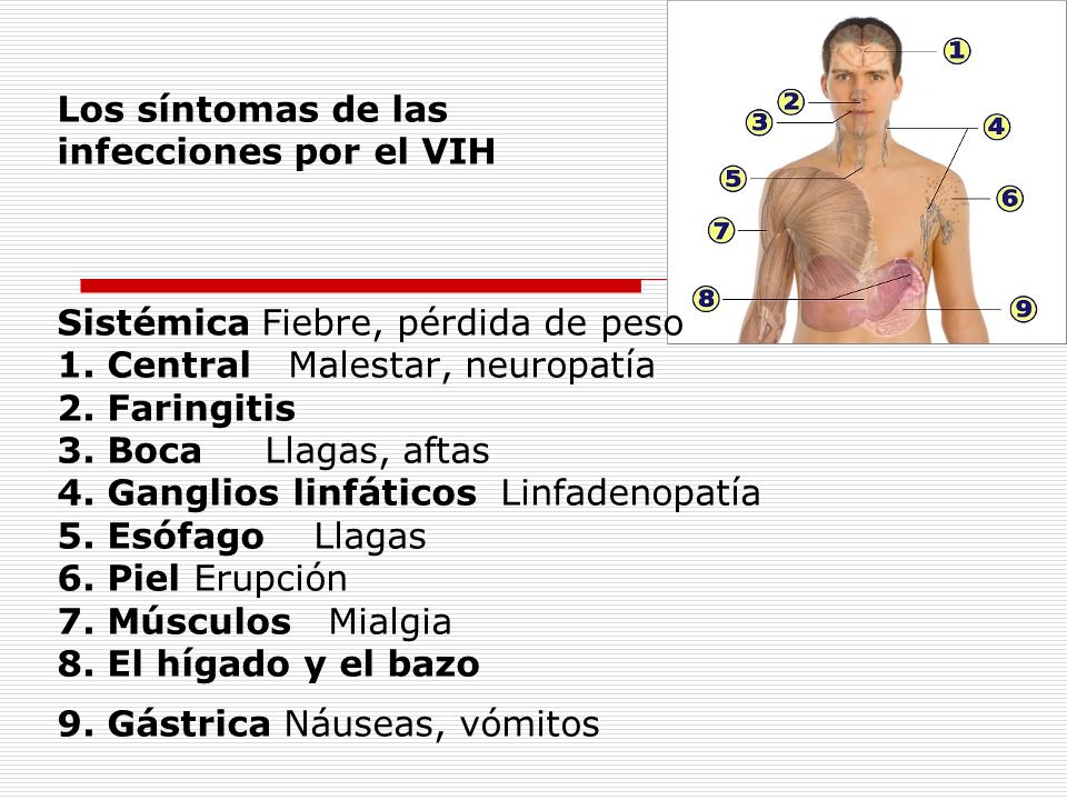 Como arreglar rápidamente la figura y arreglar el vientre en 2-3 días